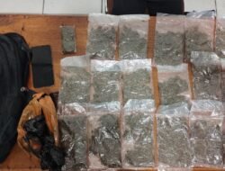 Ditresnarkoba Polda Papua Berhasil Ringkus Pelaku Penjual Narkotika Jenis Ganja