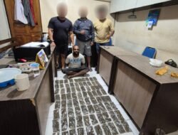 Lagi, Opsnal Narkoba Polresta Jayapura Kota Polda Papua Ungkap Kasus Ganja, Seorang WNA Diamankan