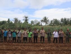 Program Presiden RI Terkait Ketahanan Pangan, Polres Yapen Tanam Bibit Jagung