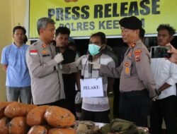 Polres Keerom Polda Papua Amankan 20 KG Narkotika Jenis Ganja, Tiga dari Lima Pelaku Merupakan Warga Asing