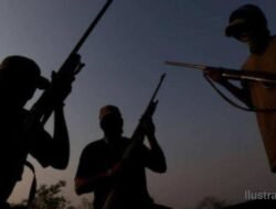 Kontak Tembak Antara Satgas Operasi Damai Cartenz dan KKB di Distrik Pugima