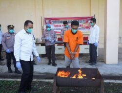 Polda Papua Barat Musnahkan Barang Bukti Ganja dengan Berat 112,4 gram